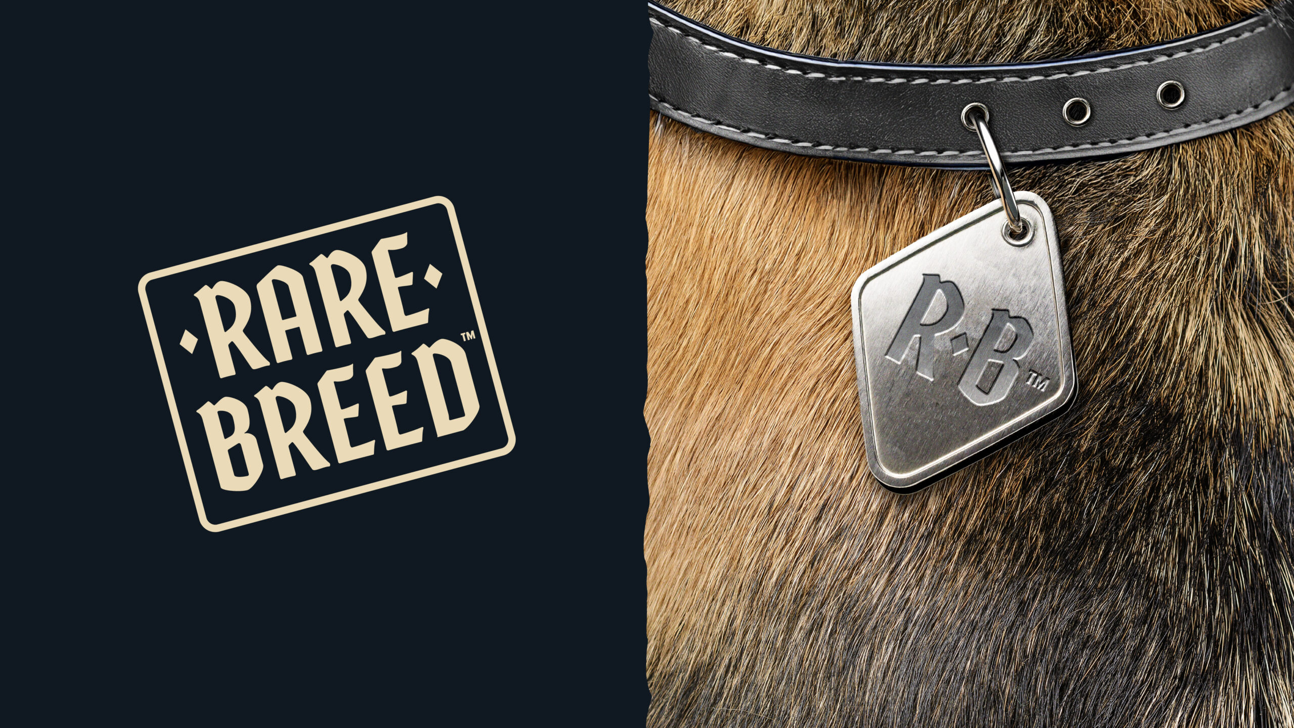 NTW-1329_RareBreed Case Study_R01_V03ajs-03