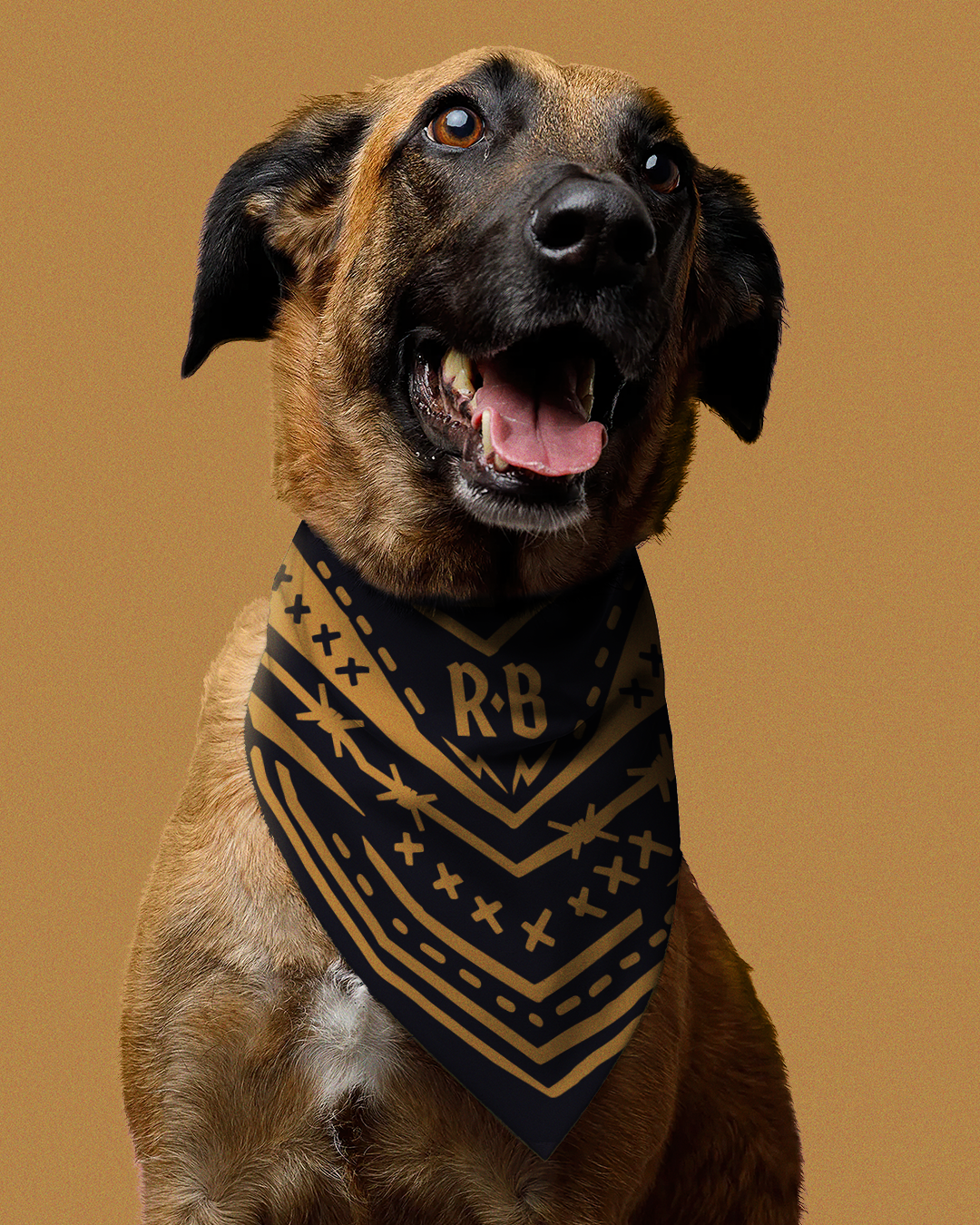 RB-Bandana_Dog_ajs